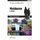 N°18 - Maldonne à Redon (livre numérique)