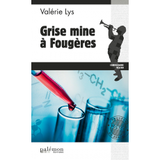 N°03 - Grise mine à Fougères
