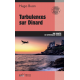 N°13 - Turbulences sur Dinard 